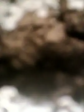 sexygosht online show from 04.18.26