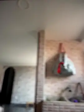 Snapshot of -Nala chatting on 12.02.25 -Nala online show from 12.02.25