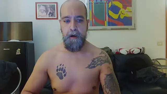 AMIRDIB2025 online show from 06.15.26