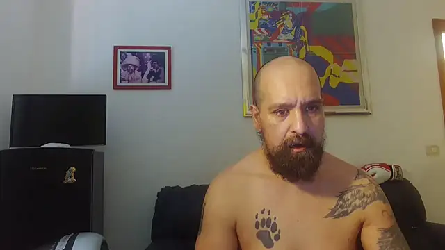 AMIRDIB2025 online show from 06.17.26