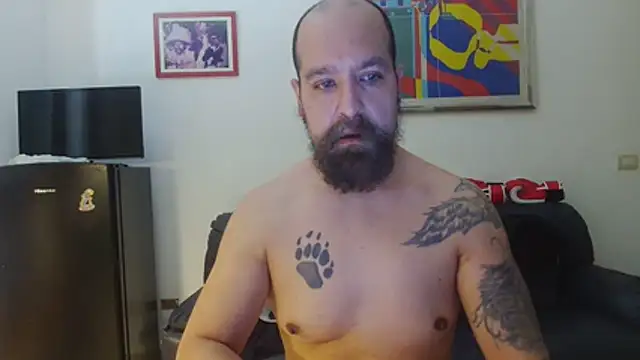 AMIRDIB2025 online show from 06.26.26
