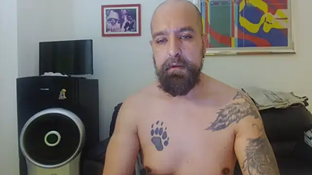 AMIRDIB2025 online show from 07.03.26