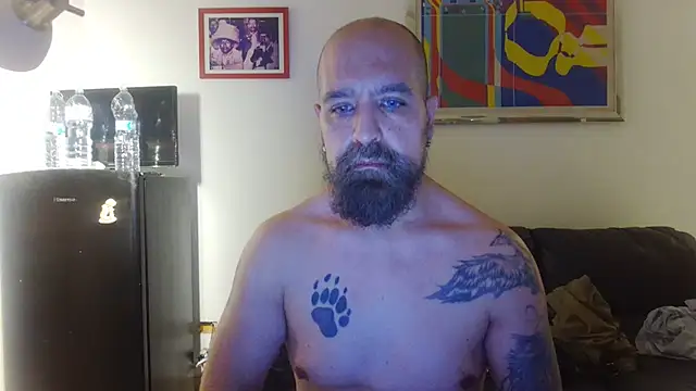 AMIRDIB2025 online show from 07.04.26
