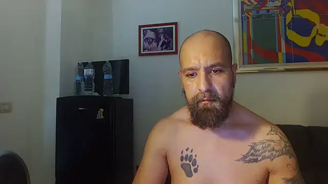 AMIRDIB2025 online show from 07.04.26