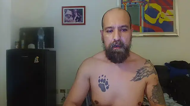 AMIRDIB2025 online show from 07.08.26