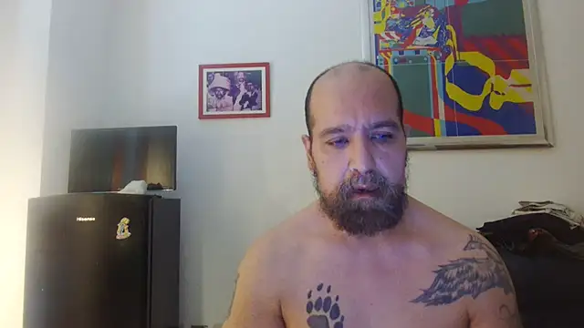 AMIRDIB2025 online show from 07.19.26