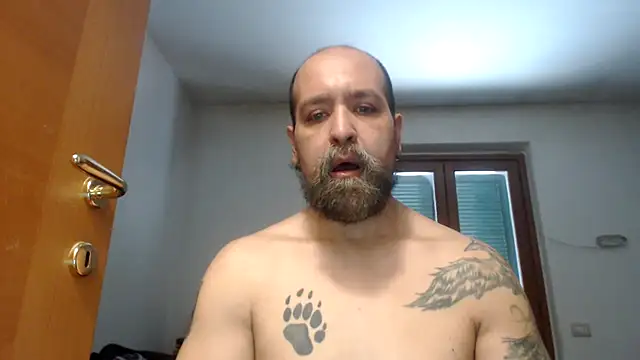 AMIRDIB2025 online show from 07.21.26
