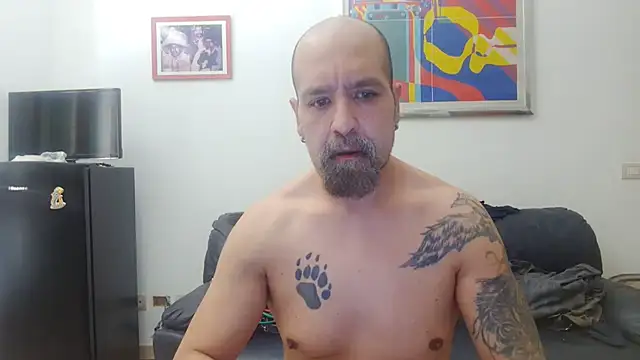 AMIRDIB2025 online show from 07.28.26