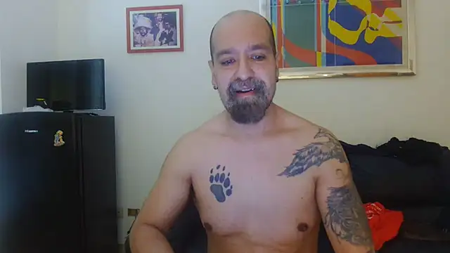 AMIRDIB2025 online show from 07.30.26