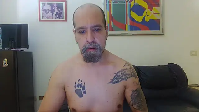 AMIRDIB2025 online show from 08.03.26