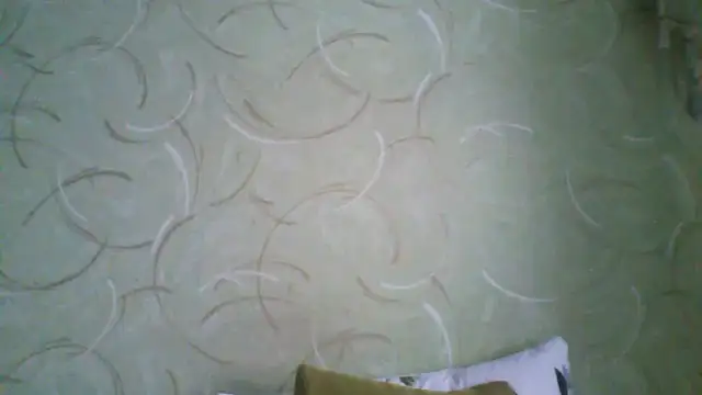 ClaireShannon online show from 03.03.26