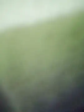 Snapshot of HKOOOH80 chatting on 11.27.25 HKOOOH80 online show from 11.27.25