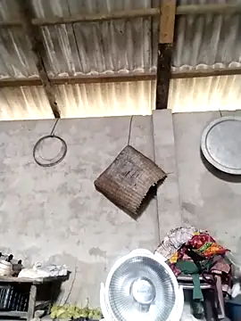 LeoPet2x online show from 03.16.26