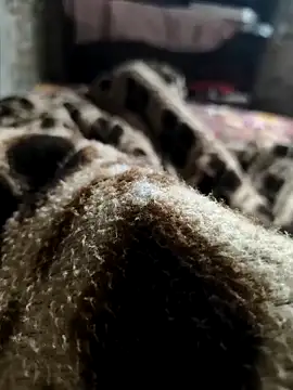 Snapshot of Mahi-Aman chatting on 12.05.25 Mahi-Aman online show from 12.05.25