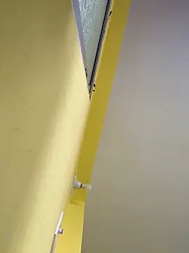 Snapshot of Kavya-school chatting on 12.02.25 Kavya-school online show from 12.02.25