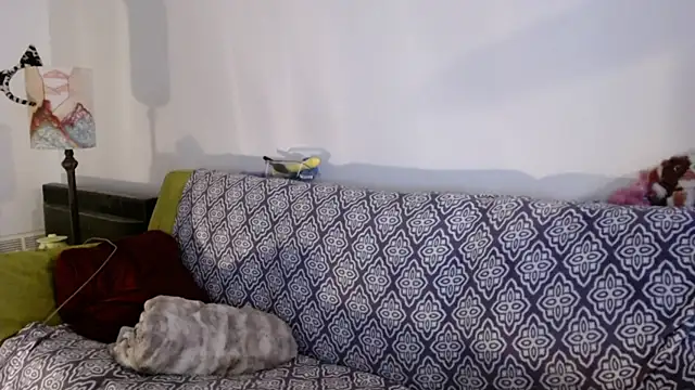 Snapshot of DeliaBlew chatting on 12.04.25 DeliaBlew online show from 12.04.25