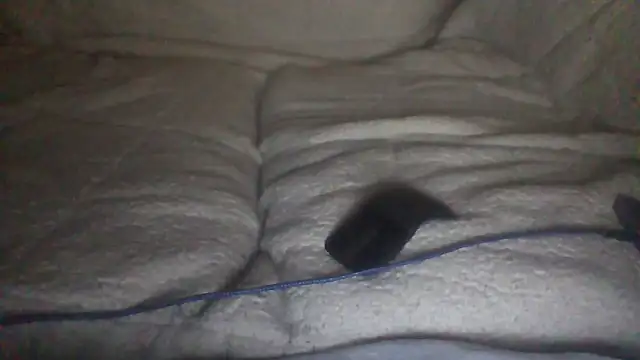 Snapshot of moneymaker50 chatting on 12.02.25 moneymaker50 online show from 12.02.25