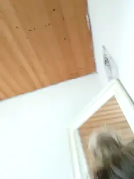 Snapshot of Milas_Dreams_OF chatting on 12.15.25 Milas Dreams OF online show from 12.15.25