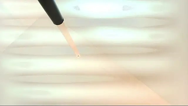 tamara walter online show from 03.05.26