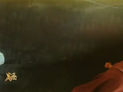 Bristi 03 online show from 06.15.26