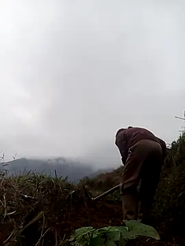 mon-monk online show from 12.17.25