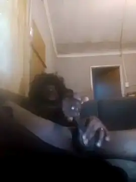 Faysbaakop3 online show from 02.10.26