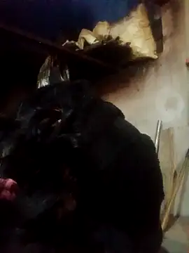 Amiluli online show from 03.02.26