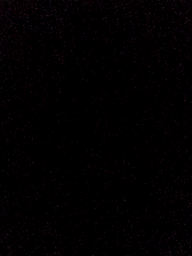 Snapshot of sexyboy224jp chatting on 12.19.25 sexyboy224jp online show from 12.19.25