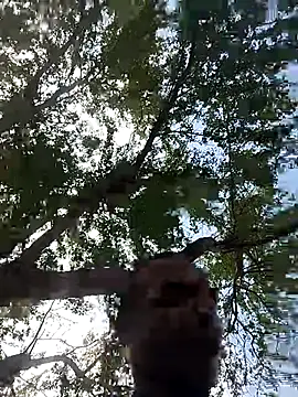 Andreskelly online show from 03.17.26