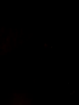 nehakapoor89 online show from 12.14.25