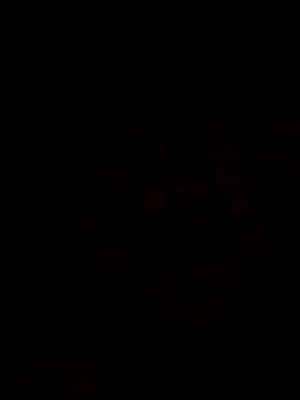 1Aya1Mustafa online show from 03.30.26