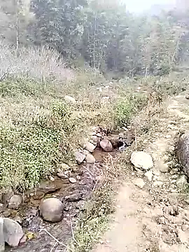 neko-nancy online show from 01.14.26