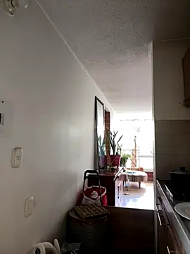  NickJuniorr online show from 12.13.25