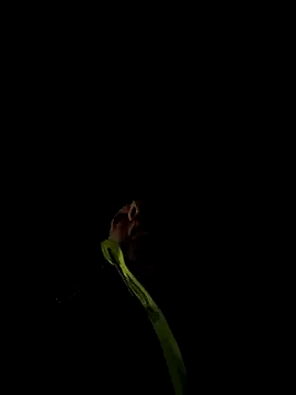 Snapshot of marcoboss chatting on 12.13.25 marcoboss online show from 12.13.25