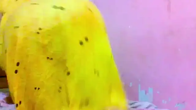 kondi Bula4 online show from 12.19.25