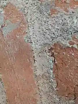 Snapshot of Soniya5533 chatting on 12.14.25 Soniya5533 online show from 12.14.25