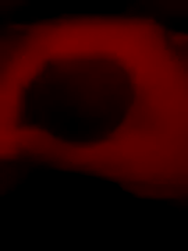 DaveeeIsTheone online show from 01.06.26