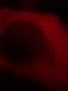 DaveeeIsTheone online show from 02.15.26