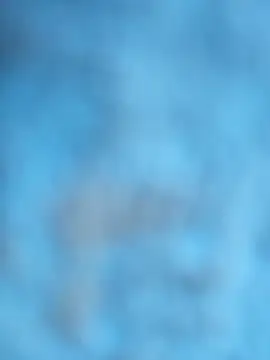 Snapshot of layanehot chatting on 12.21.25 layanehot online show from 12.21.25