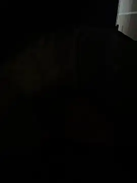 Snapshot of daniele1982 chatting on 12.15.25 daniele1982 online show from 12.15.25