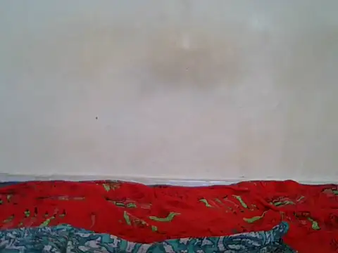 BaddestBitchee online show from 04.27.26