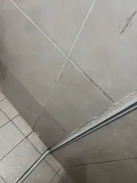 sugar babyy1 online show from 03.18.26