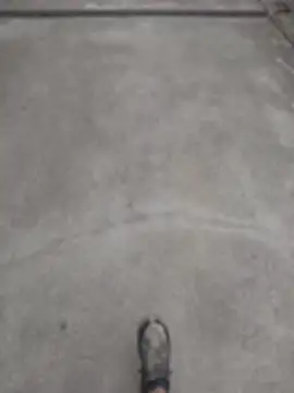 SnappedHagfish online show from 06.17.26