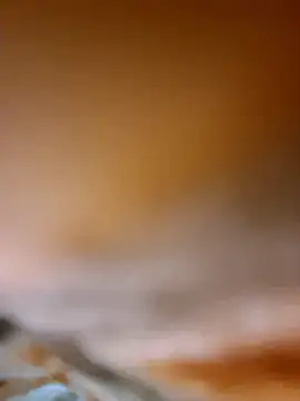 aman4404 online show from 01.08.26