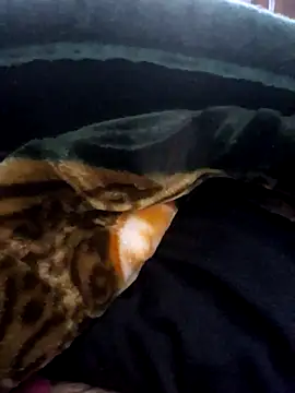 aman4404 online show from 03.14.26