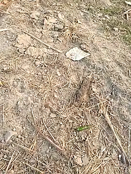 Snapshot of sexloverg7 chatting on 12.15.25 sexloverg7 online show from 12.15.25