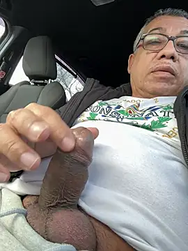 tigre6911 online show from 02.26.26