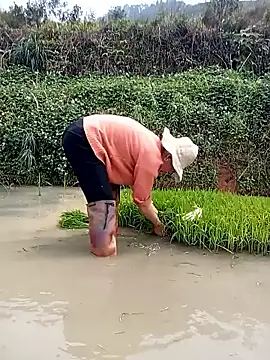 Girl cutee online show from 03.16.26