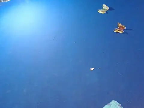 sk8-boy online show from 12.18.25