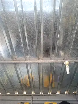 Snapshot of biggy_mash chatting on 12.17.25 biggy mash online show from 12.17.25